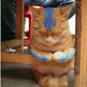 Meet your Posher, Mariam